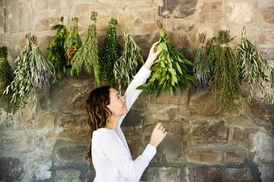 Hang bundles upside down in a dark, dry space.